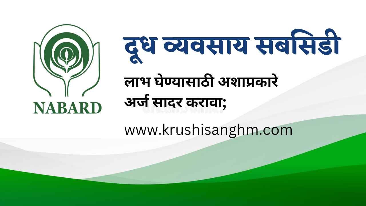 nabard loan | दुग्ध व्यवसाय सुरू करण्यासाठी नाबार्ड देत आहे बंपर सबसिडी! आता बिनधास्त सुरू करा आपला दुग्ध व्यवसाय;