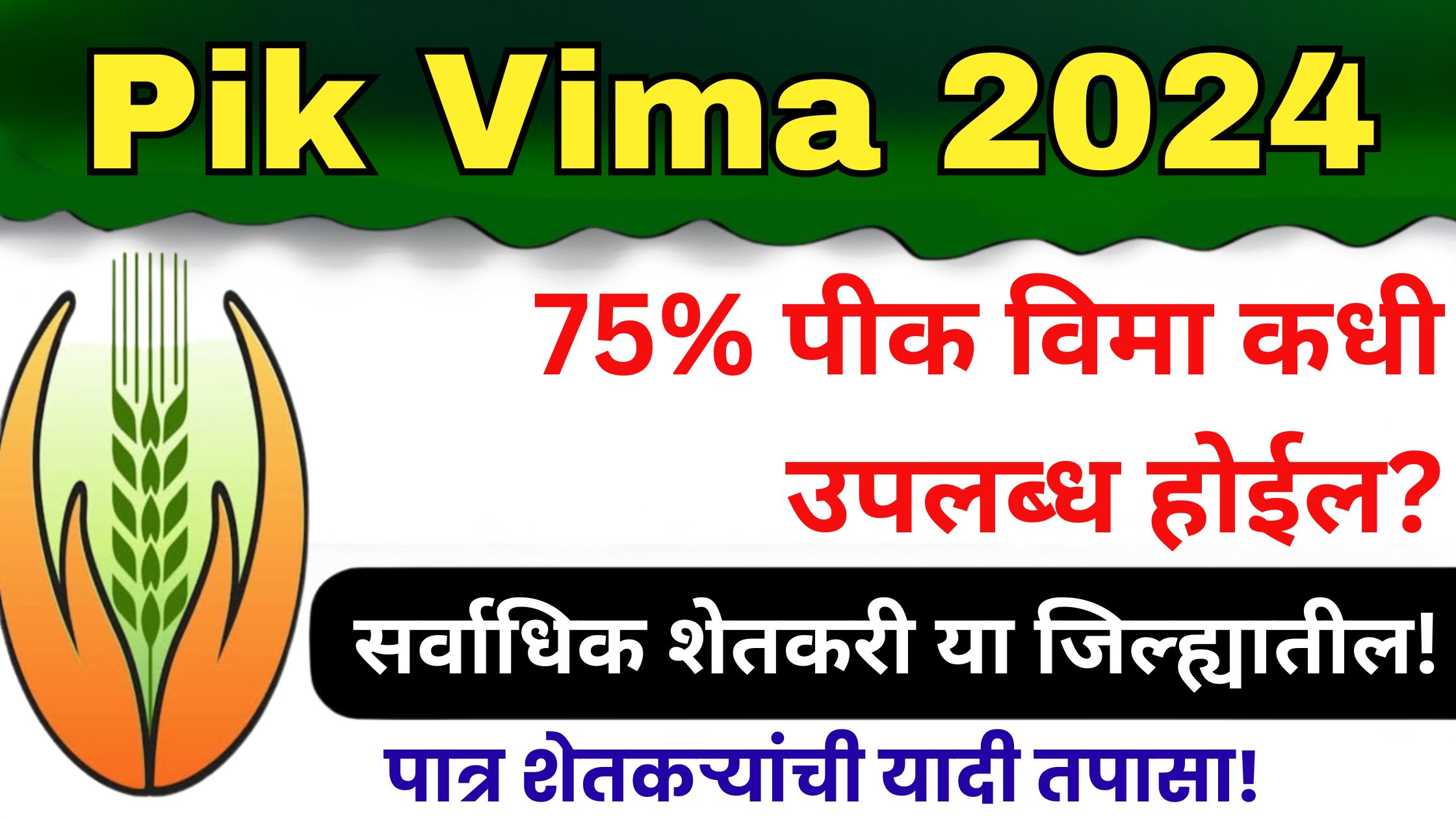 Pik Vima 2024