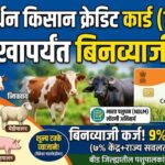 शेळी-मेंढीपालनासाठी सरकार देतंय विनातारण ६० हजारांपासून ३ लाखांपर्यंत बिनव्याजी कर्ज.