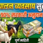शेळी पालन व्यवसाय सुरु करण्यासाठी सरकारकडून मिळणार 90 टक्के अनुदान, महिन्याला दोन लाखांची कमाई