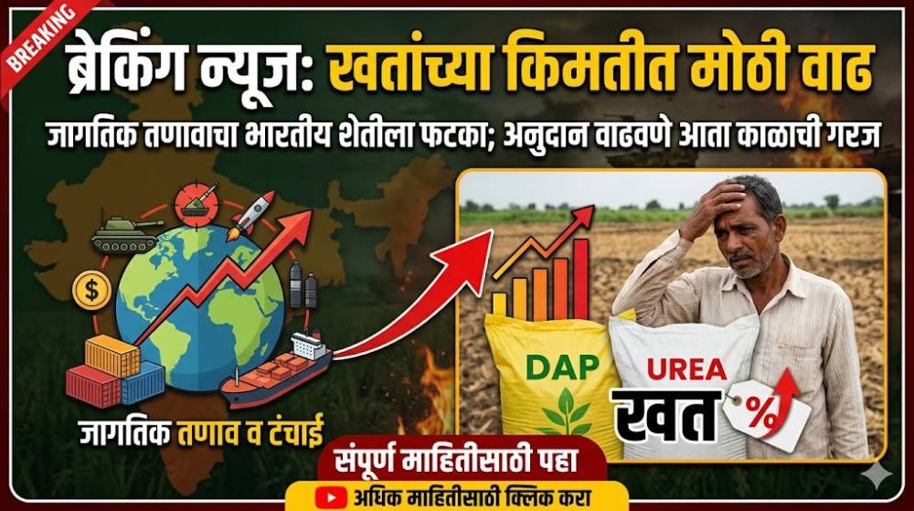 खतांच्या किमतीत मोठी वाढ: जागतिक तणावाचा भारतीय शेतीला फटका; अनुदान वाढवणे आता काळाची गरज - Fertilizer Subsidy