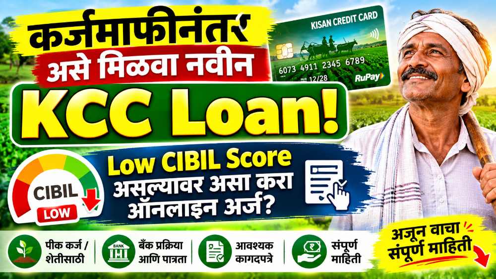 कर्जमाफीनंतर असे मिळवा नवीन KCC Loan! Low CIBIL Score असल्यास असा करा अर्ज